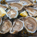 New jersey oyster festival brings shucking contests and coastal flavor to port norris - photo licensed by shore news network.
