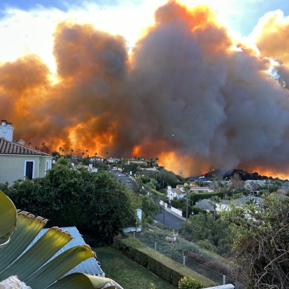 Climate change didn't start this year's deadly california wildfire, a guy from florida did - photo licensed by shore news network.