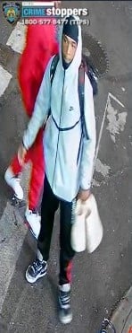 Armed pair sought after Bronx subway robbery at Elder Avenue station