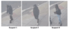 Three suspects assault man and steal property on dc sidewalk