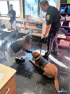Boston officers share stories and smiles with roslindale students