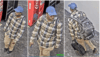 Detectives seek public help to identify suspect in assault incident