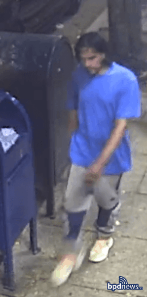 Boston police search for four suspects after woman stabbed in Roxbury