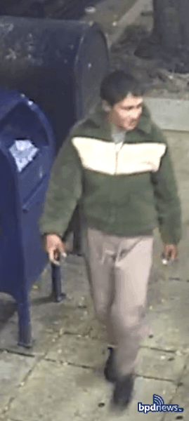 Boston police search for four suspects after woman stabbed in Roxbury