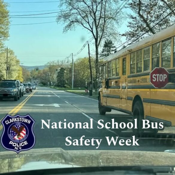 Drivers ignoring school bus laws put children at risk across new york - photo licensed by shore news network.