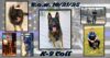 Galloway township police mourn passing of retired k-9 colt