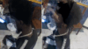 Man pistol-whipped and threatened in mount pleasant as police hunt for suspect caught on camera