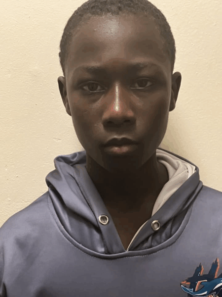 Eleven-year-old disappears from South Ward neighborhood