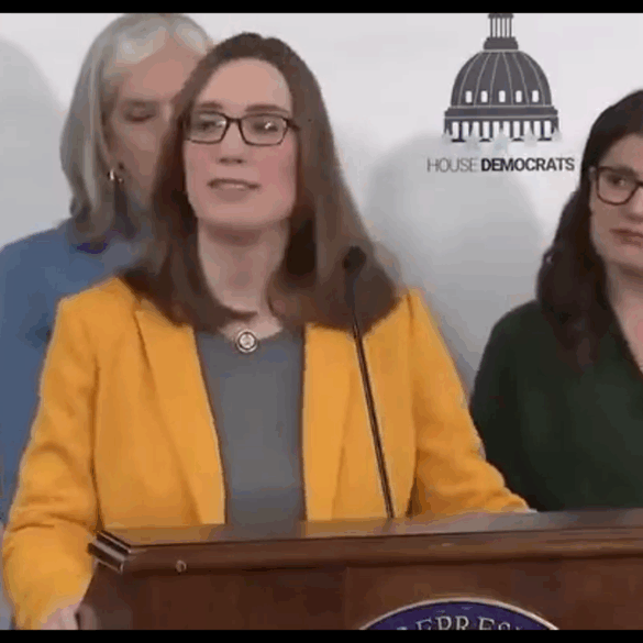 Transgender congressman says republicans are weird and bizarre - photo licensed by shore news network.