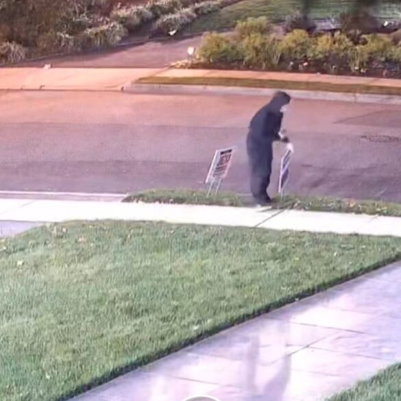 Campaign chaos in clifton as ciattarelli signs defaced with genocide gaza messages - photo licensed by shore news network.