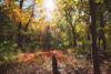 Somerset county expands raritan river greenway with new land acquisition