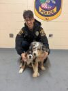 Two pups discovered on highway 34 near church