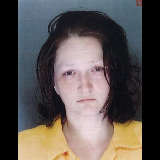 York County woman charged after allegedly stealing car, guns, and picking peppers on private property