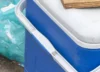 Woman arrested after delivering cooler with human fetus to ex-lover