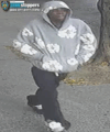Gunman sought after shots fired on alabama avenue in early morning assault