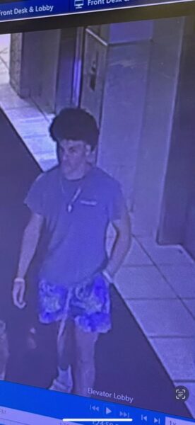 Suspect caught on camera in ocean city boardwalk theft - photo licensed by shore news network.