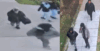 Pack of robbers flee after assaulting and robbing woman on dc street