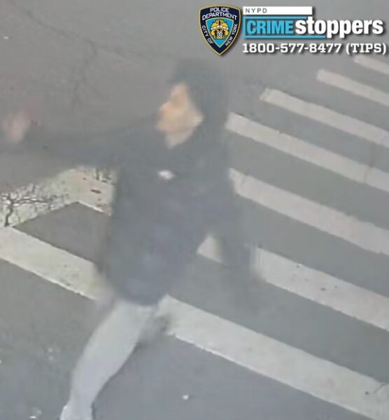 Teen stabbed during dispute on bronx street, police search for three suspects - photo licensed by shore news network.