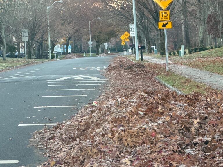 Jackson fall leaf pickup continues with second chance for completed zones - photo licensed by shore news network.