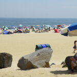 How much are beach towns making on badges and access fees? New law requires detailed reporting