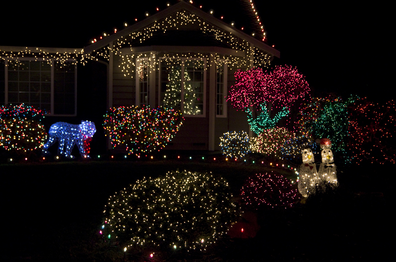 Festival of trees celebrates 20th anniversary at morven museum & garden - photo licensed by shore news network.