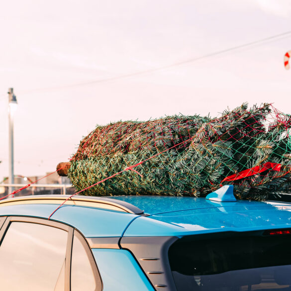 Silverton firehouse bringing back annual christmas tree fundraiser - photo licensed by shore news network.