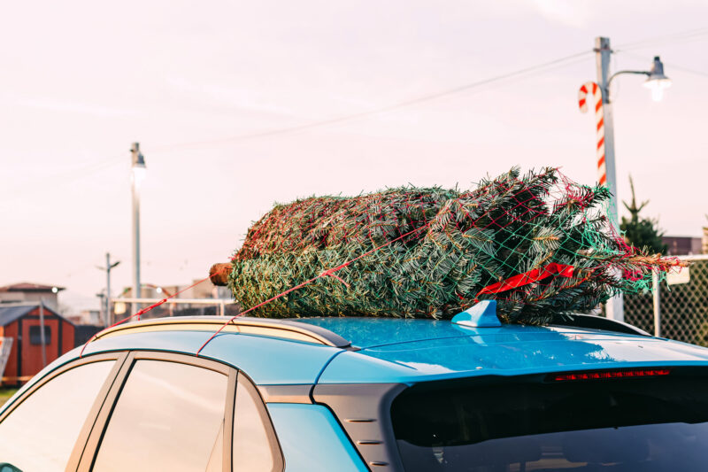 Silverton firehouse bringing back annual christmas tree fundraiser