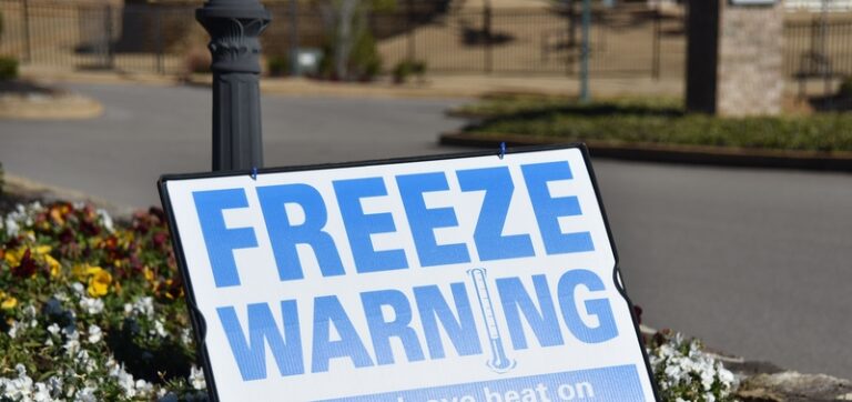Cold snap grips new jersey as first freeze of the season hits on veterans day - photo licensed by shore news network.