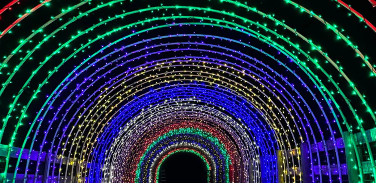 Holland ridge farms blooms with holiday brilliance in u-pick tulips winter wonderland - photo licensed by shore news network.