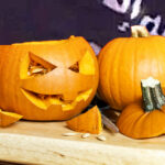 New jersey college student identified as co-conspirator in nationwide isis halloween terror plot - photo licensed by shore news network.