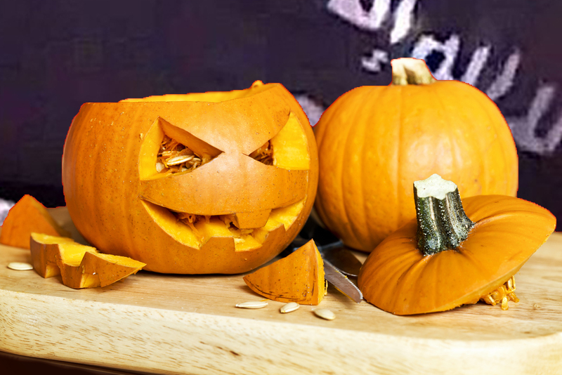 New jersey college student identified as co-conspirator in nationwide isis halloween terror plot - photo licensed by shore news network.