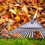 Jackson township's 2025 curbside leaf collection begins monday - photo licensed by shore news network.