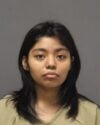 Brick township woman stabbed her two-year-old brother facing attempted murder charge