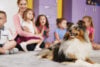 New Jersey is considering therapy dogs as part of plan to improve student morale and attendance New Jersey is considering therapy dogs as part of plan to improve student morale and attendance