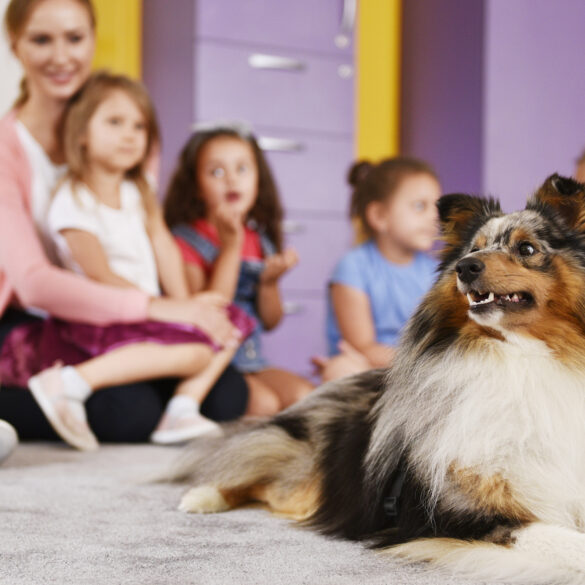 New jersey is considering therapy dogs as part of plan to improve student morale and attendance - photo licensed by shore news network.