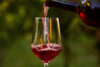 Laurita winery hosts veteran’s chili and chowder festival weekend in new egypt