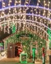 Holiday magic rolls in on didonato’s magical holiday express