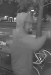 Chair-wielding attacker wanted after brutal dc street assault