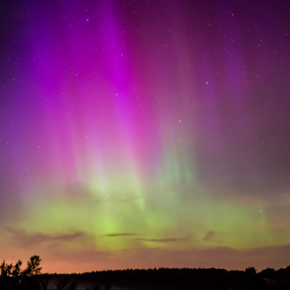 Northern lights blaze across the new jesey sky with another strong showing expected tonight - photo licensed by shore news network.