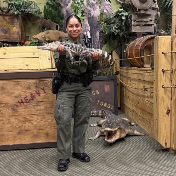 Family shocked to find alligator inside prince george’s county house - photo licensed by shore news network.