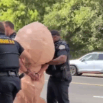 Video by thekoolaidmom. Bsky. Social