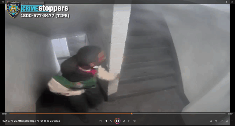 Brooklyn woman attacked in late-night assault near watkins street - photo licensed by shore news network.