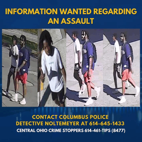 Columbus woman beaten outside home by two young suspects