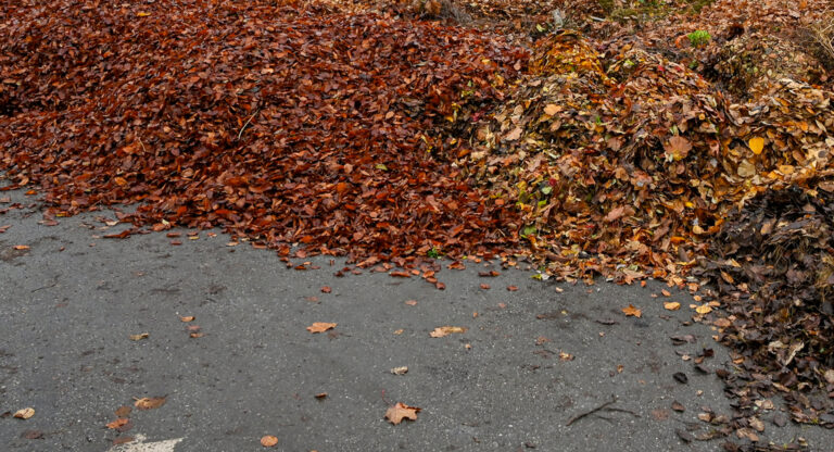 Jackson township council update on township-wide leaf collection - photo licensed by shore news network.