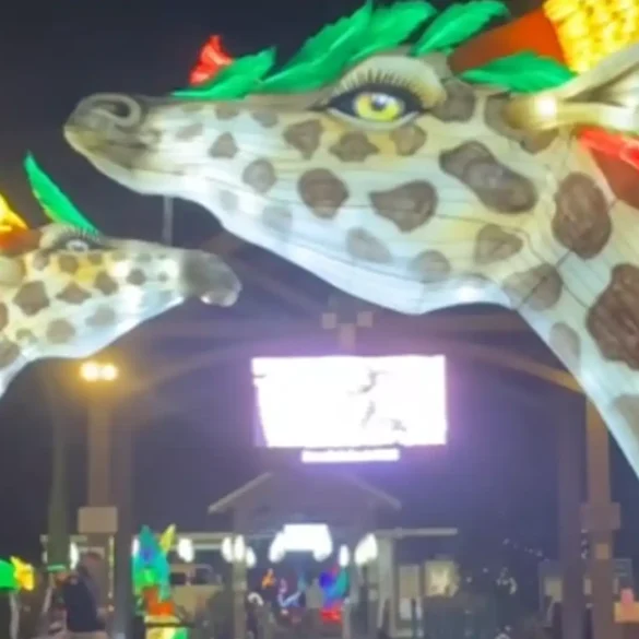 Holiday lantern spectacle lights up paramus zoo - photo licensed by shore news network.