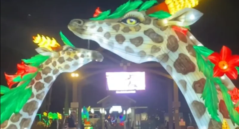 Holiday lantern spectacle lights up paramus zoo - photo licensed by shore news network.