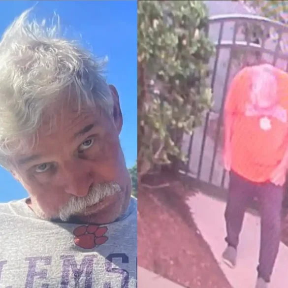 Large search underway in myrtle beach for missing 69-year-old man - photo licensed by shore news network.