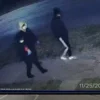 Toledo police searching for suspects who threw molotov cocktails at occupied home