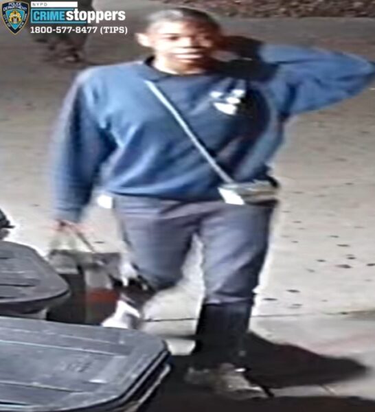 Woman assaulted and robbed by group on Adam Clayton Powell Jr Boulevard