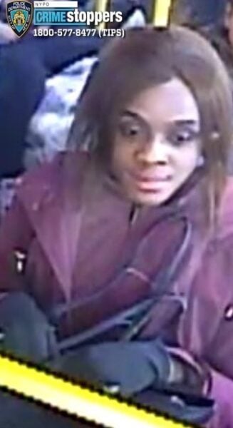 Teen stabbed on q25 bus in queens as attacker flees on foot - photo licensed by shore news network.